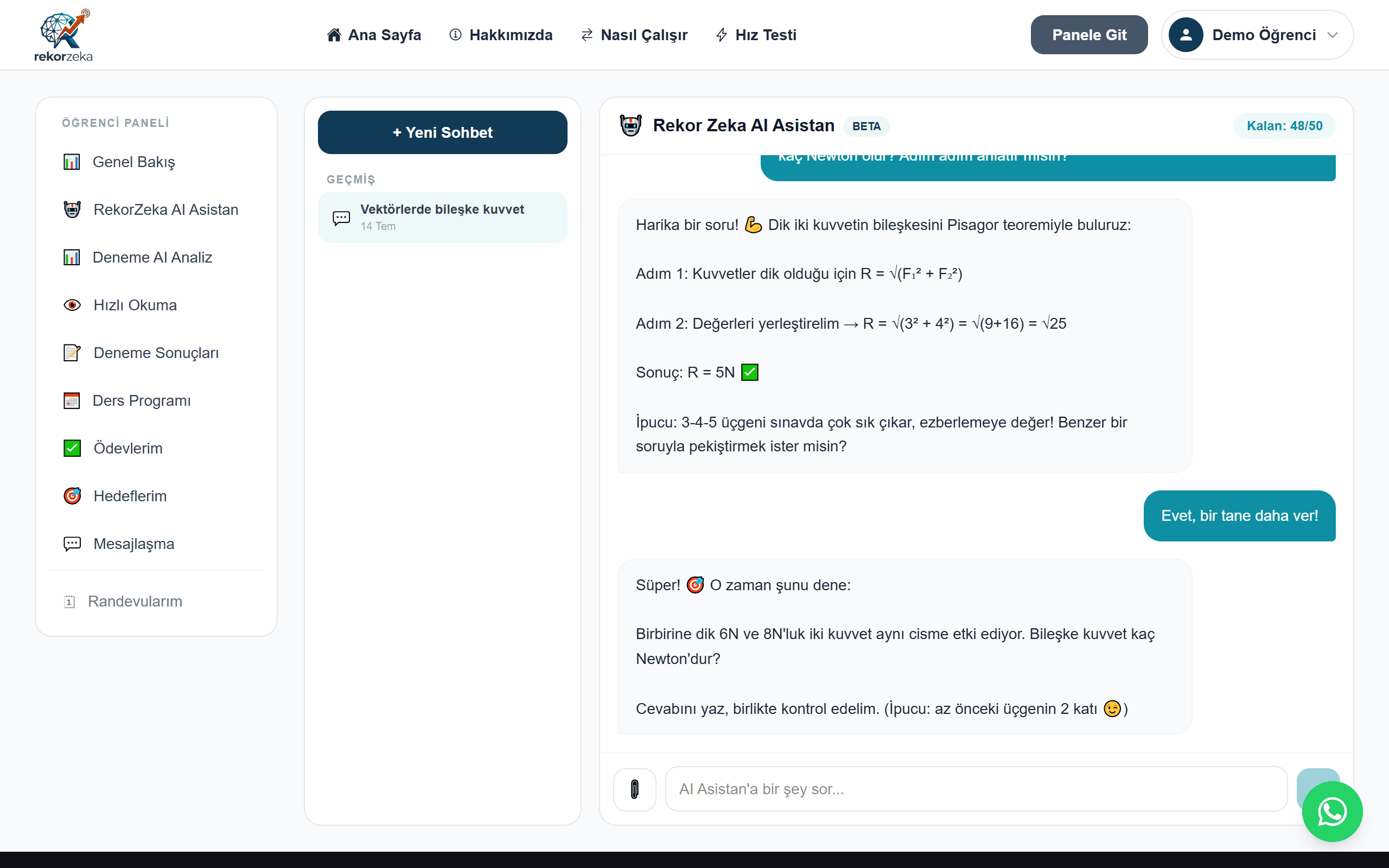 RekorZeka AI Asistan — gerçek panel ekran görüntüsü